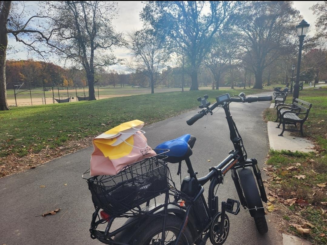 2021 Rad Power Bikes Black