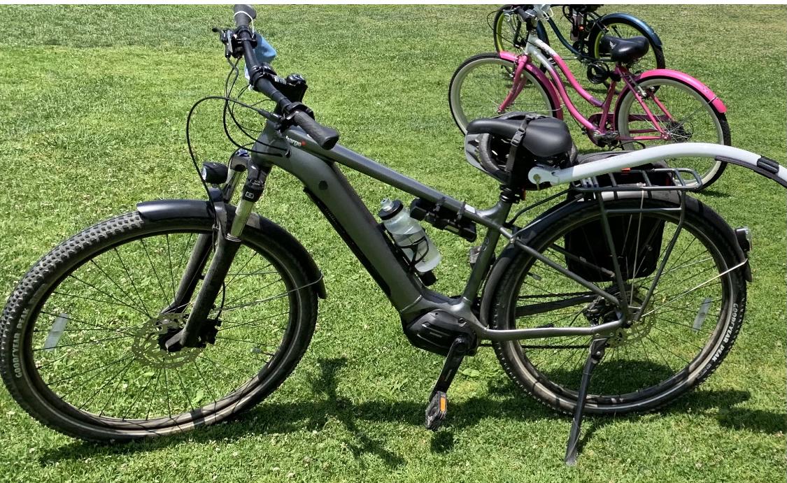 2021 Charge Xc Silver, gray or bare metal