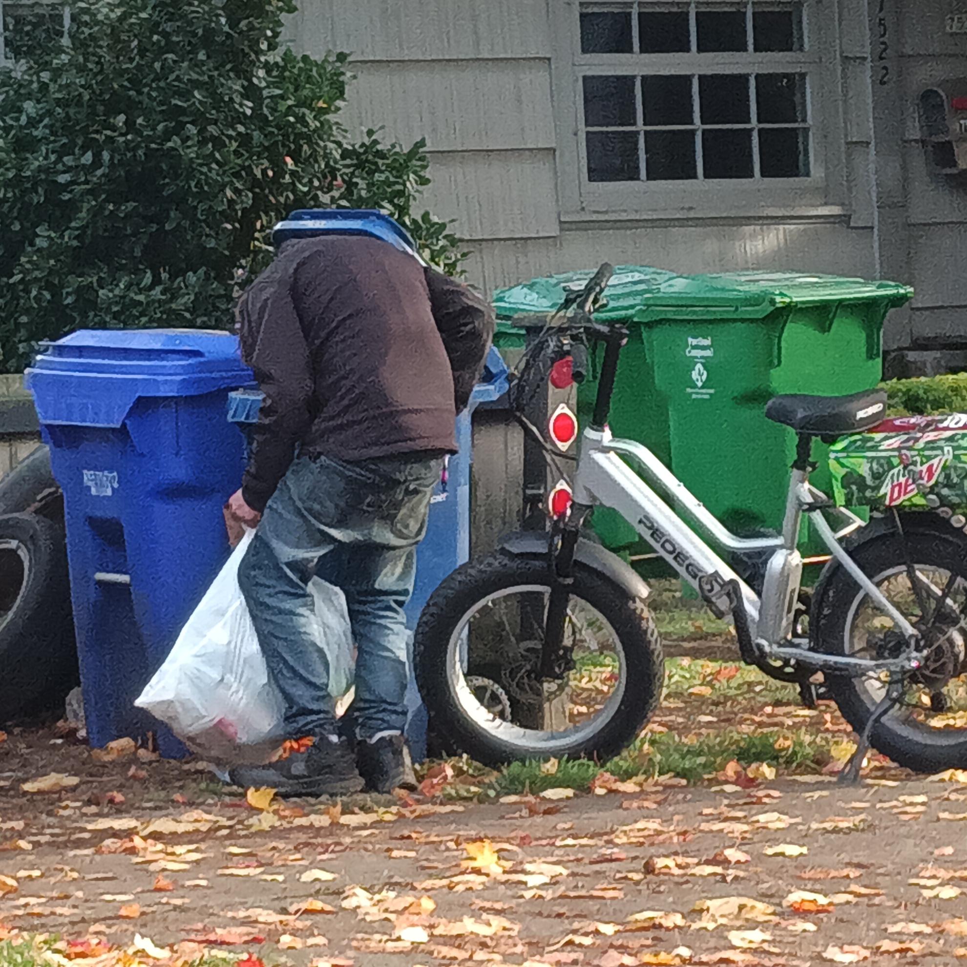 Pedego Silver, gray or bare metal