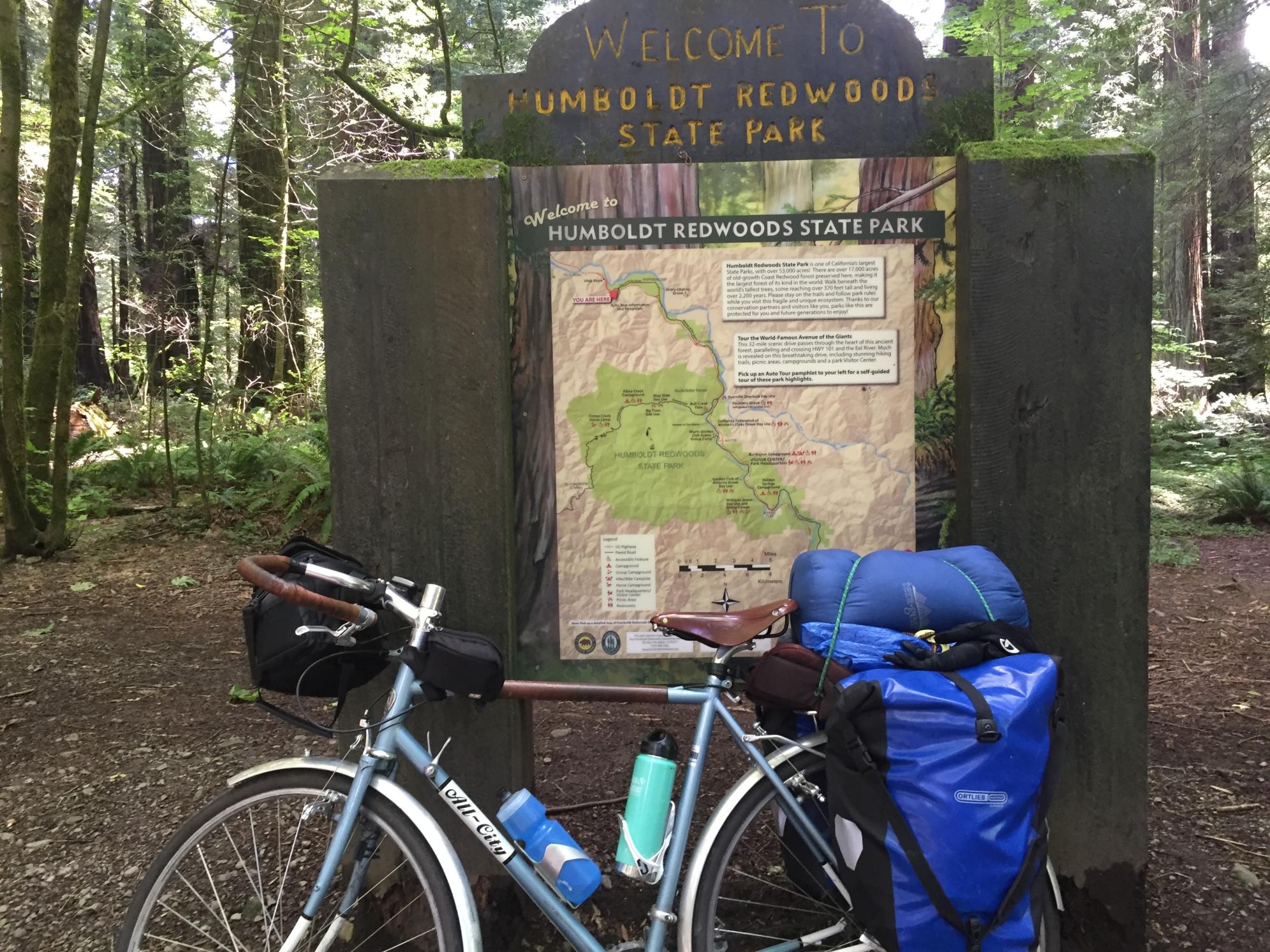 2015 All City Space Horse Blue