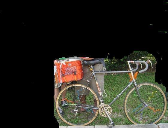 1982 Fuji Touring Series IV  Black