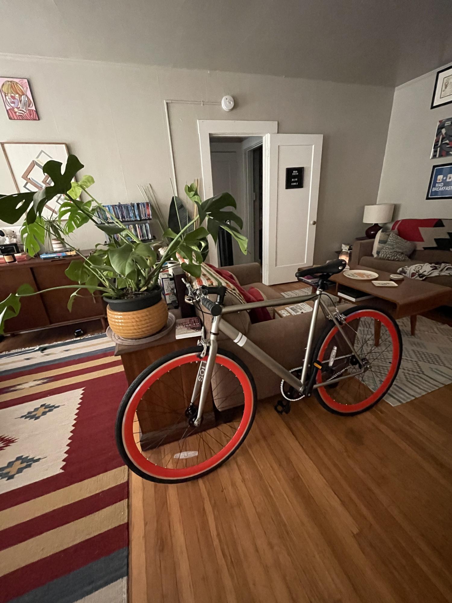 2021 Solé el Tigre Silver, gray or bare metal