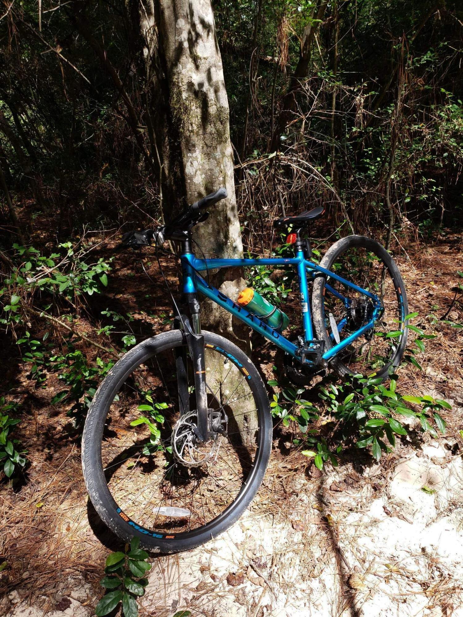 2020 Haro BridgePort Blue