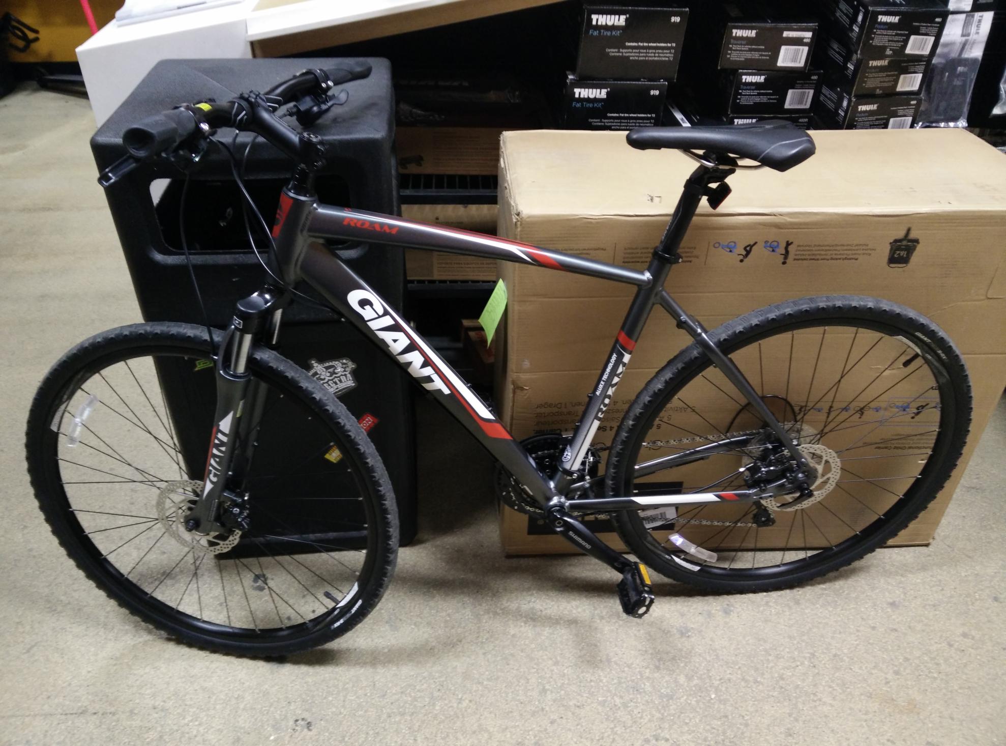 2015 Giant Roam 1 Silver or Gray