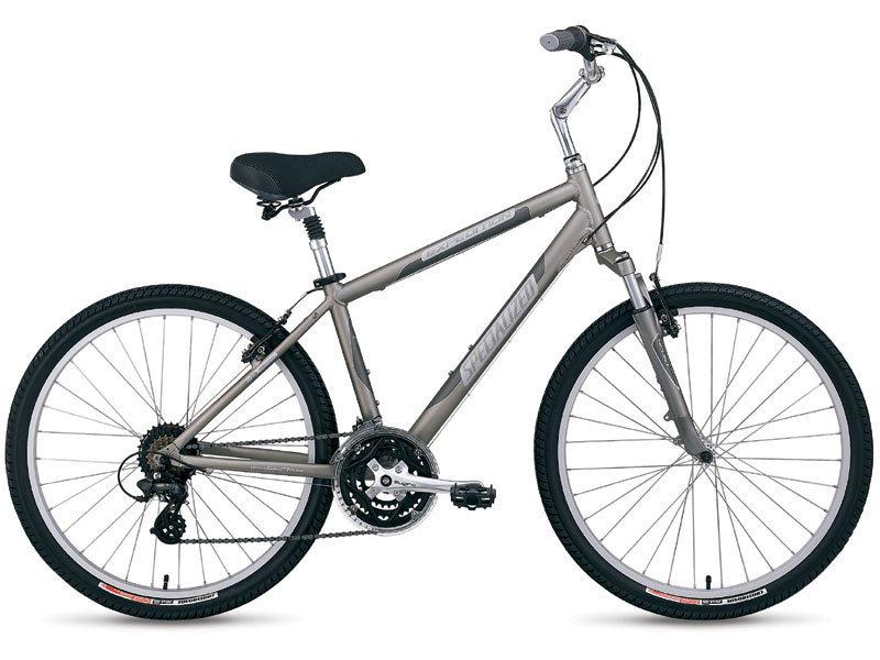 Specialized Expedition Sport Silver or Gray and Black