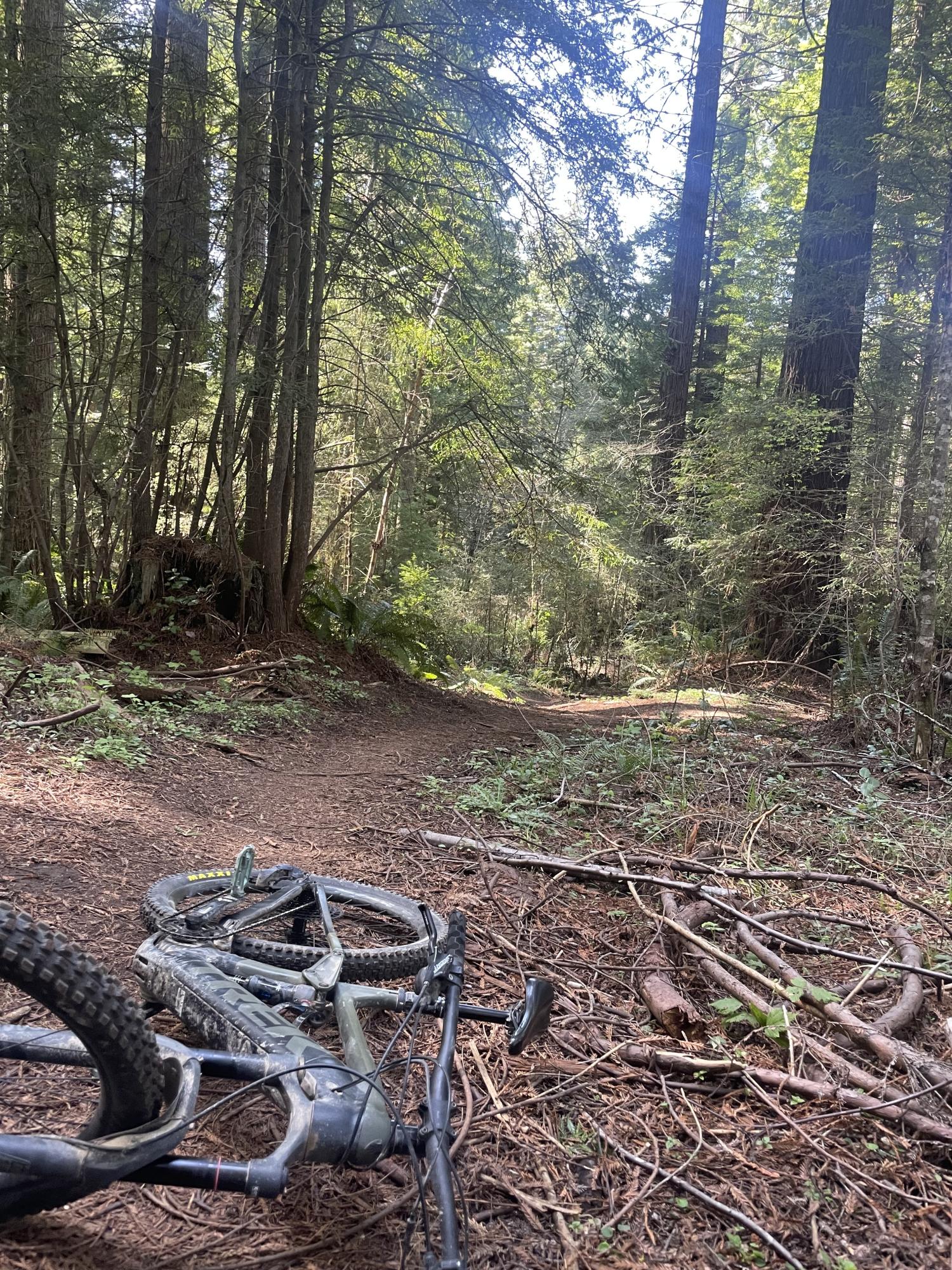 2019 Trek Rail 5 Green