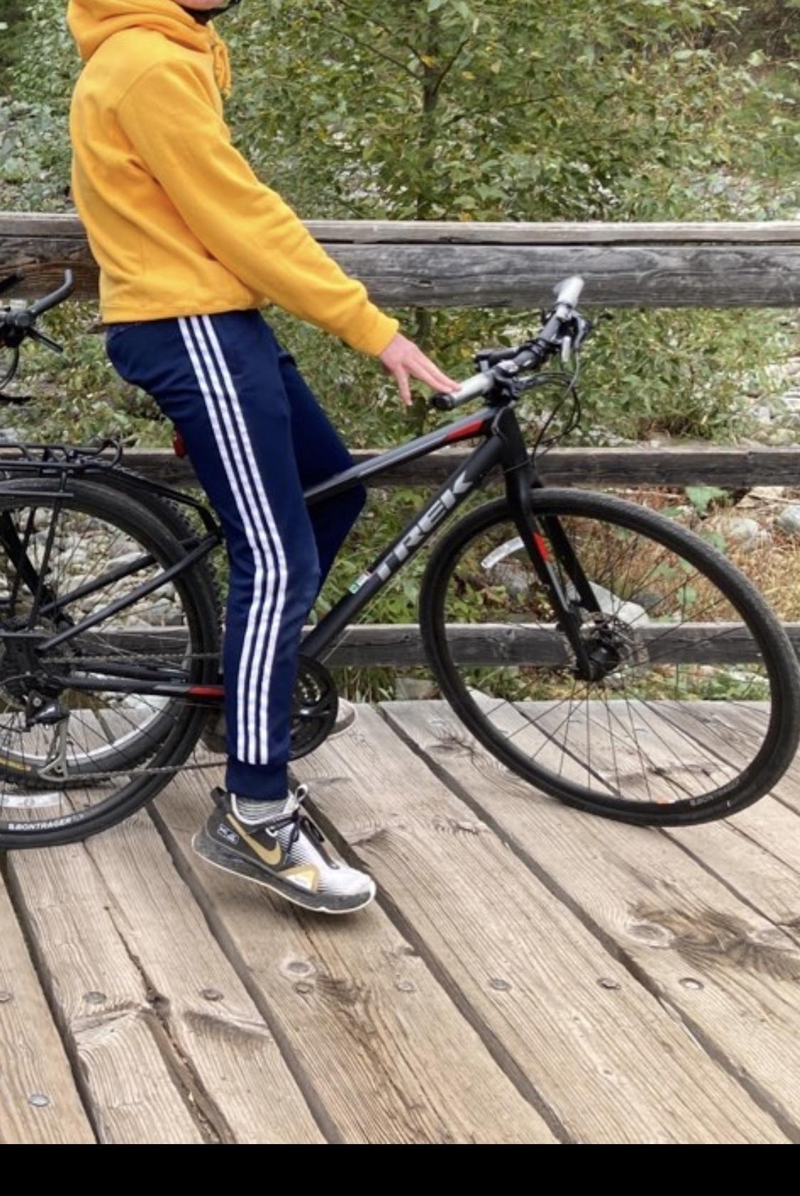 2017 Trek Hybrid Silver, gray or bare metal