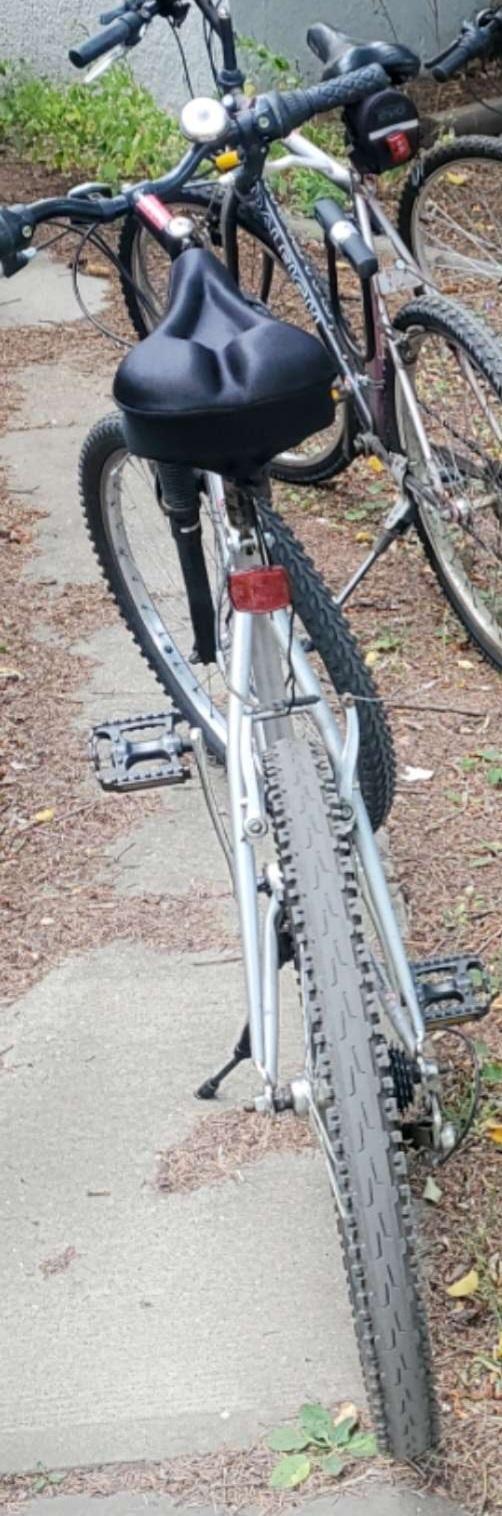 Raleigh Summit Silver, gray or bare metal