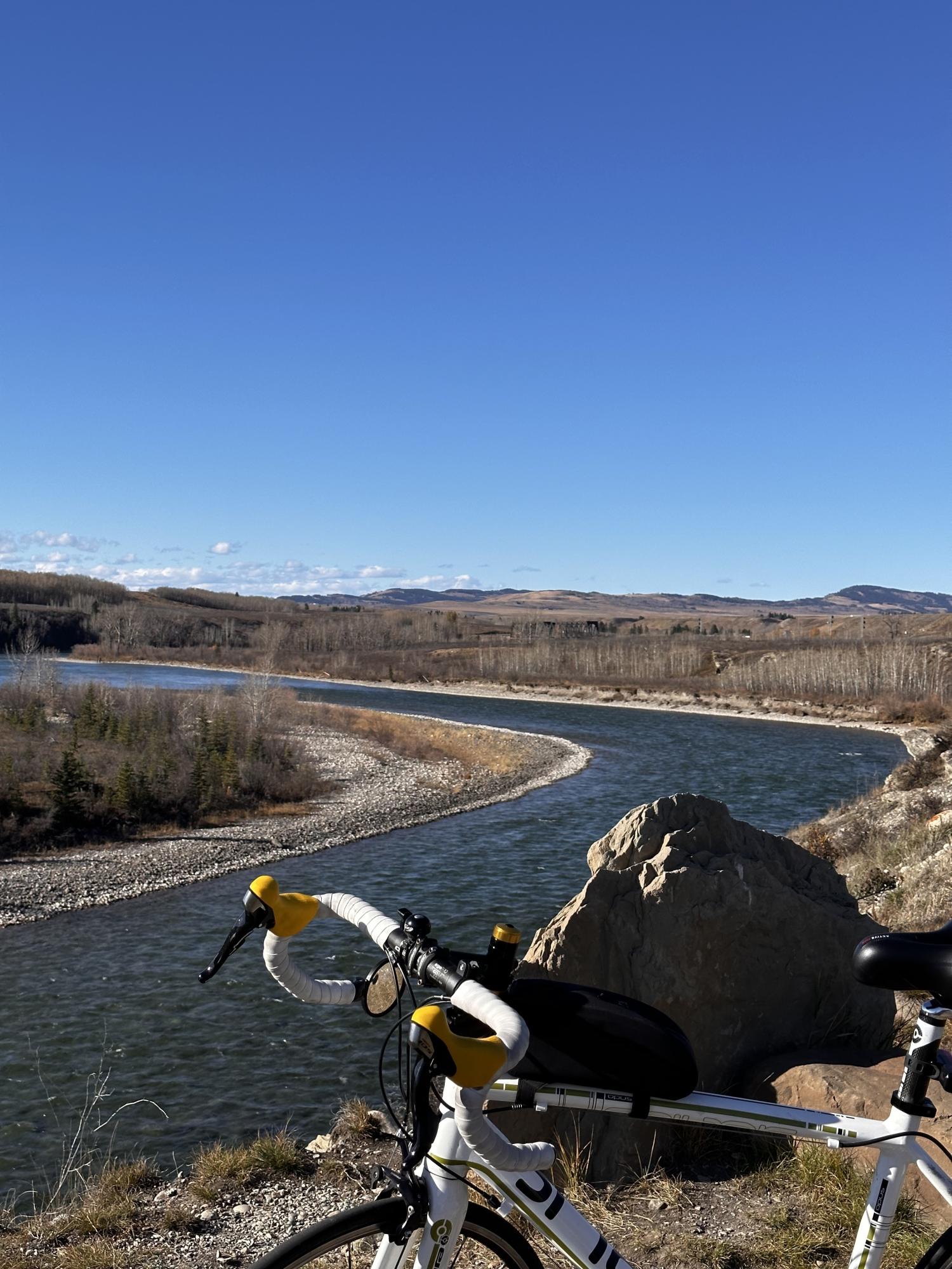 2021 Opus Sibelius White