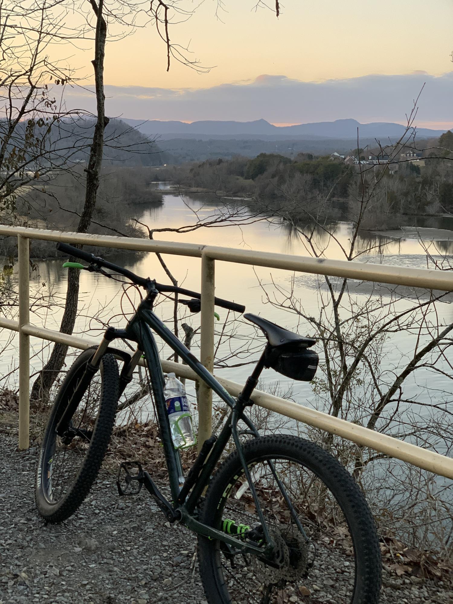 2019 Cannondale Cujo 2 Green