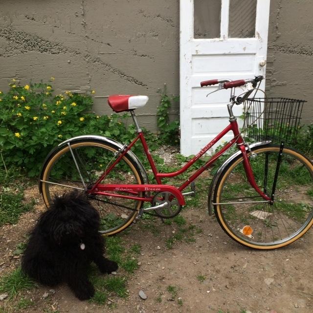 1976 Schwinn Breeze Red