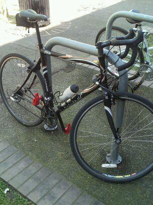2006 Giant  Black