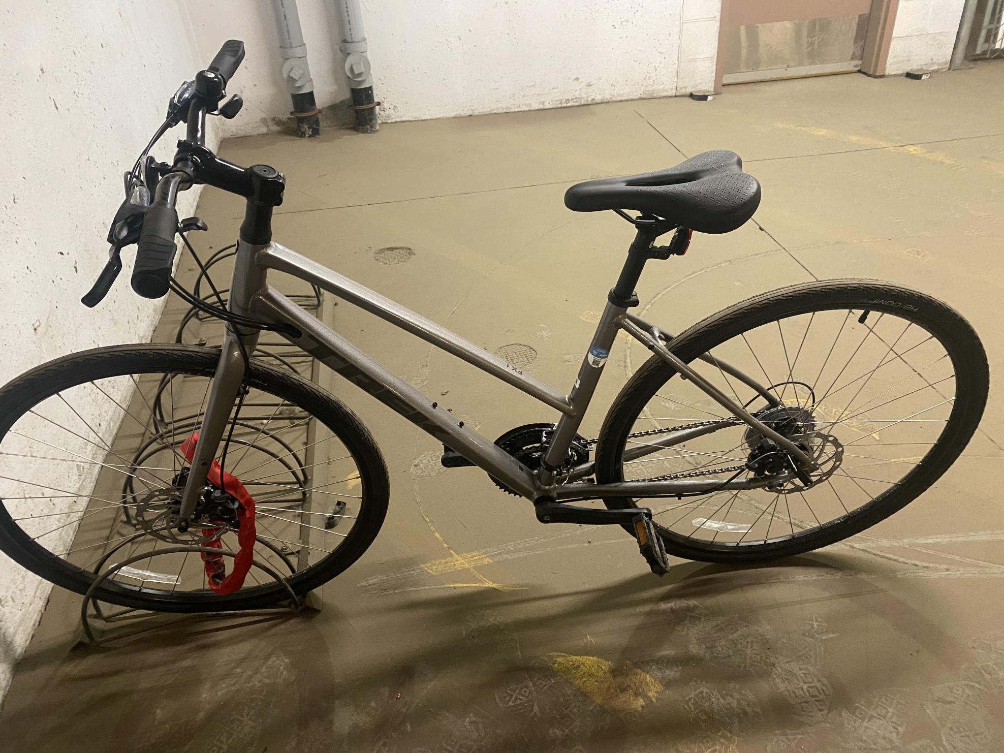 Trek FX1 Silver, gray or bare metal