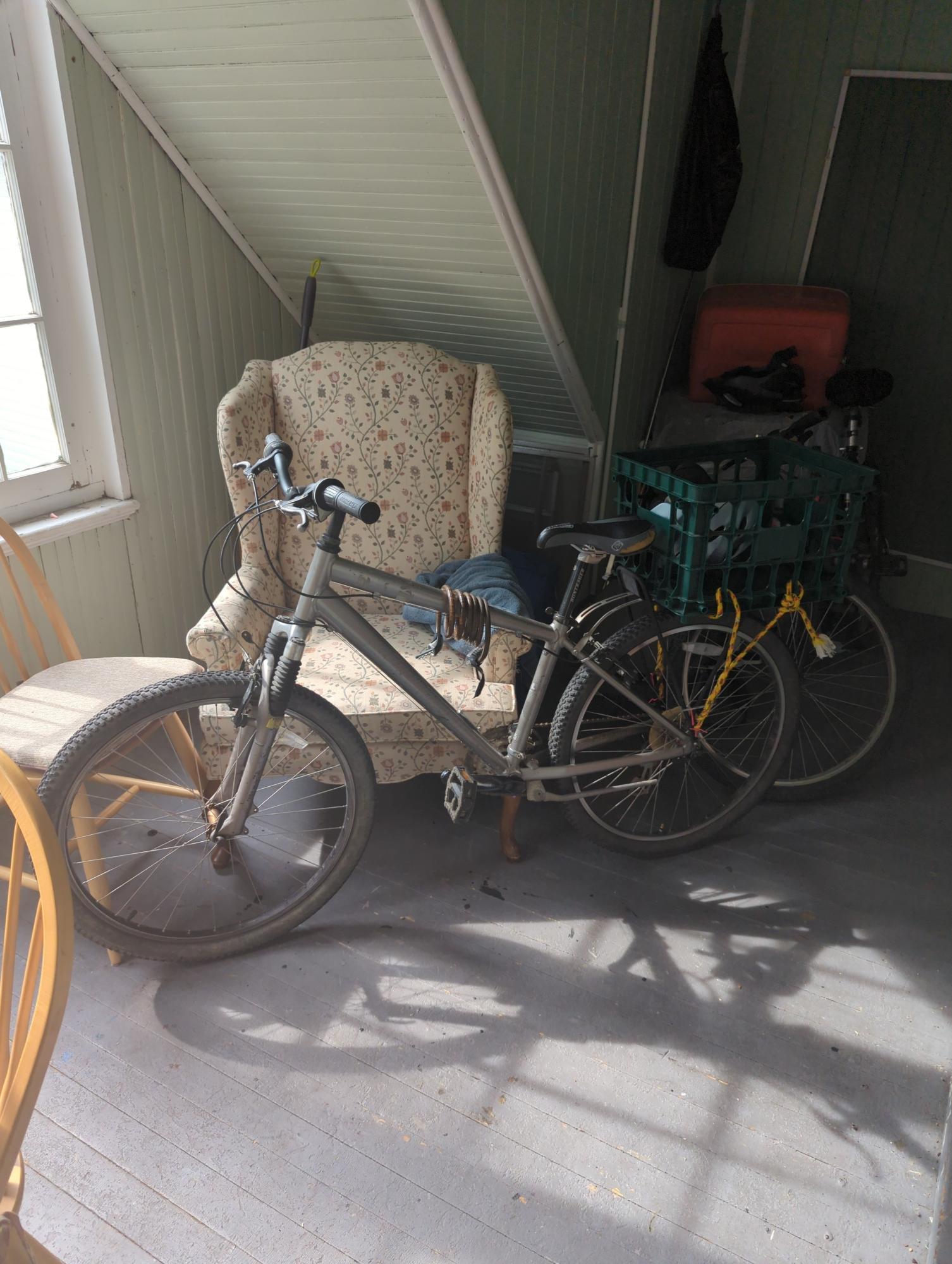 Specialized Expedition Silver, gray or bare metal