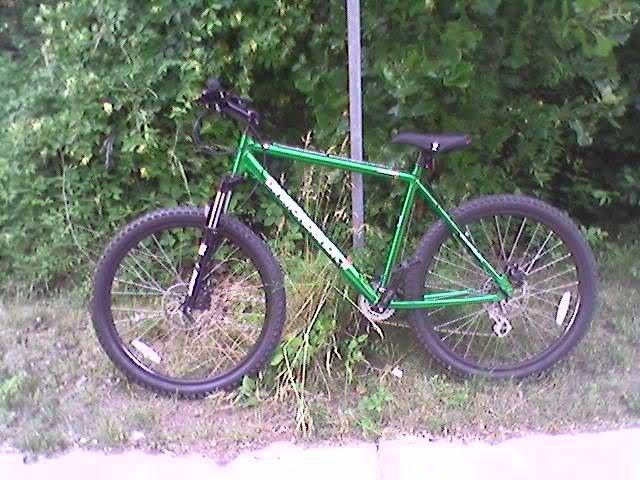 2008 Diamondback Topanga Green