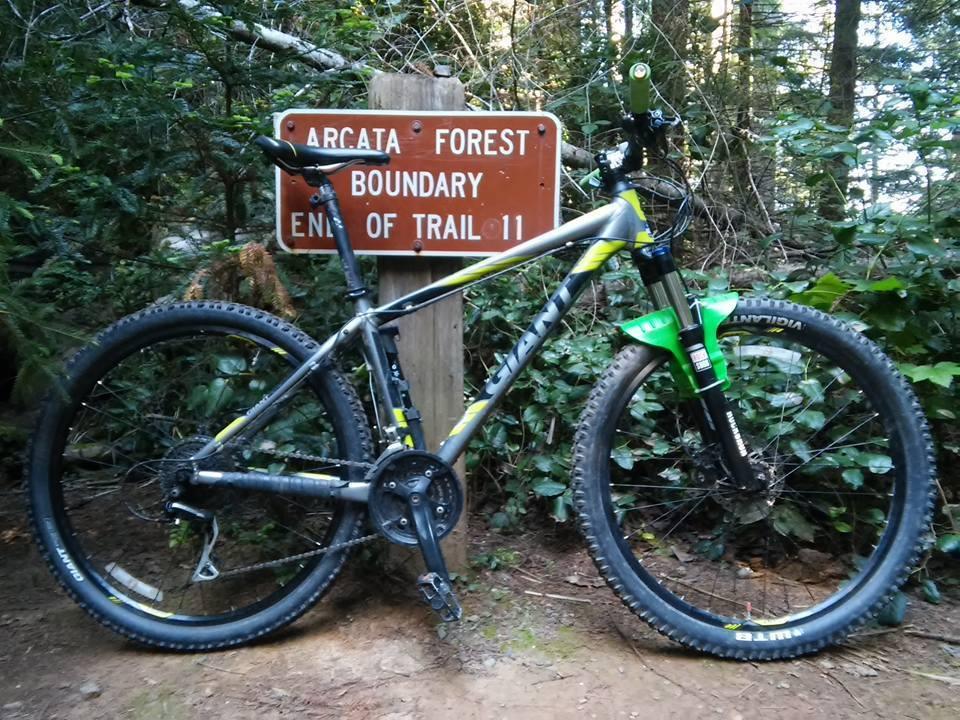 2016 Giant TALON Silver or Gray