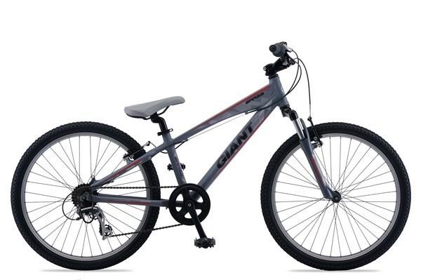 2012 Giant Giant Brass JR 24 Silver or Gray
