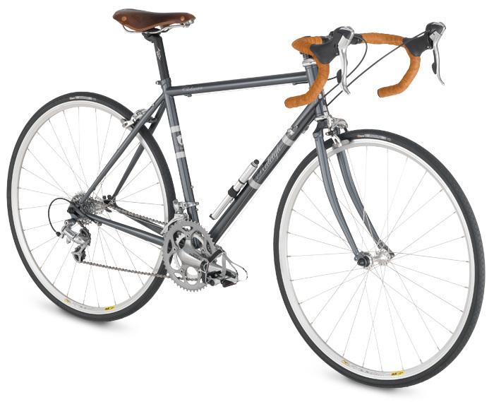 2009 Raleigh  Blue and Silver or Gray