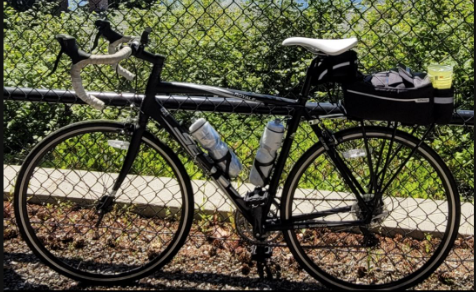 2015 SE Bikes Royale Black and White