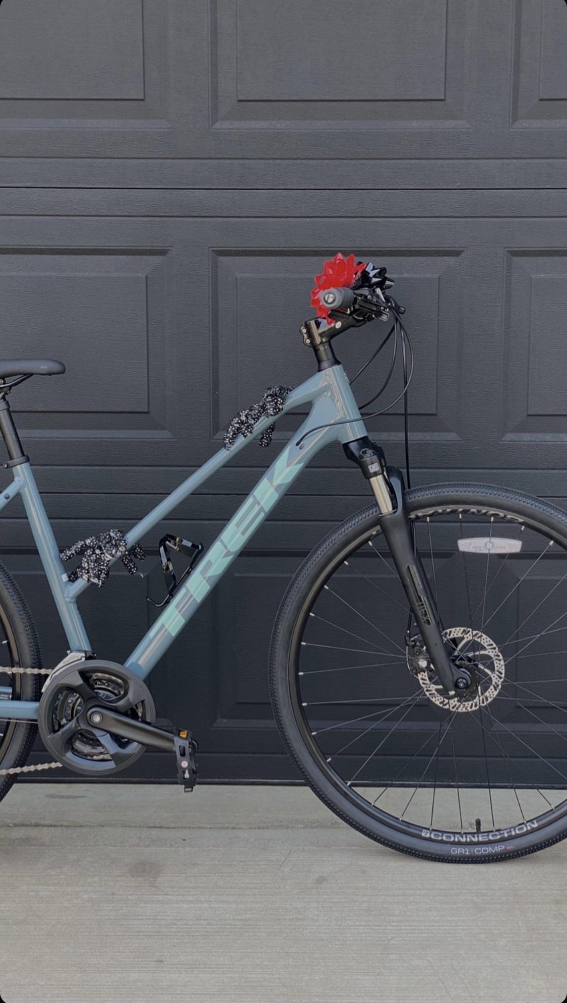 2021 Trek Dual Sport 1 Silver, gray or bare metal