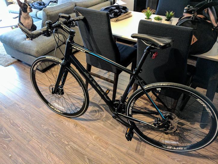 2017 Giant Rapid 1 Blue