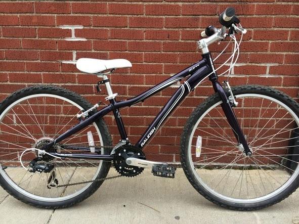 2012 Raleigh Eva  Purple