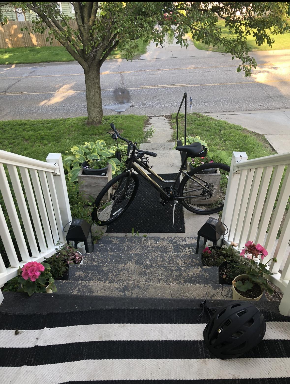 2020 Trek FX1 Silver, gray or bare metal