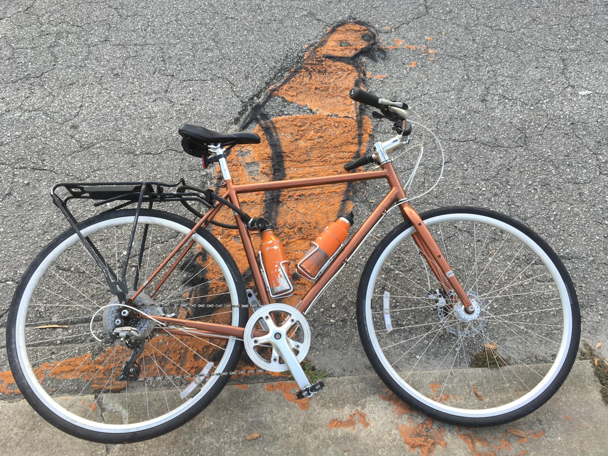 2015 Trek DIstrict 8 Brown