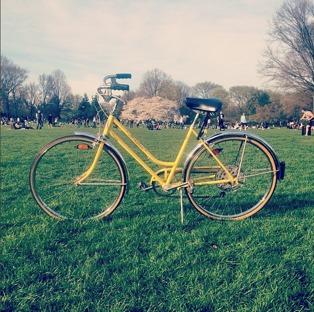 Schwinn Collegiate Womens Yellow or Gold