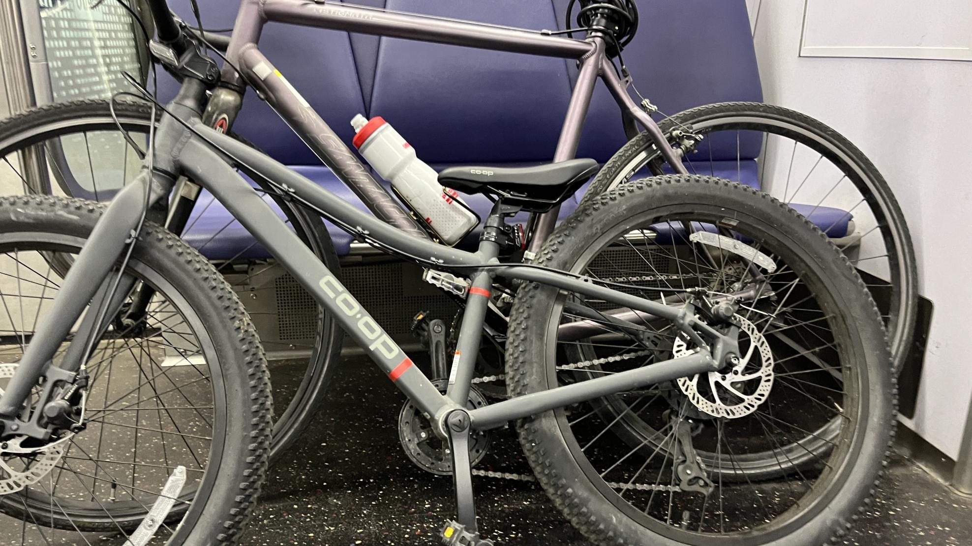 2023 REI Co-op REV 24 Kids' Bike Silver, gray or bare metal