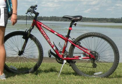 Trek 3780 Red