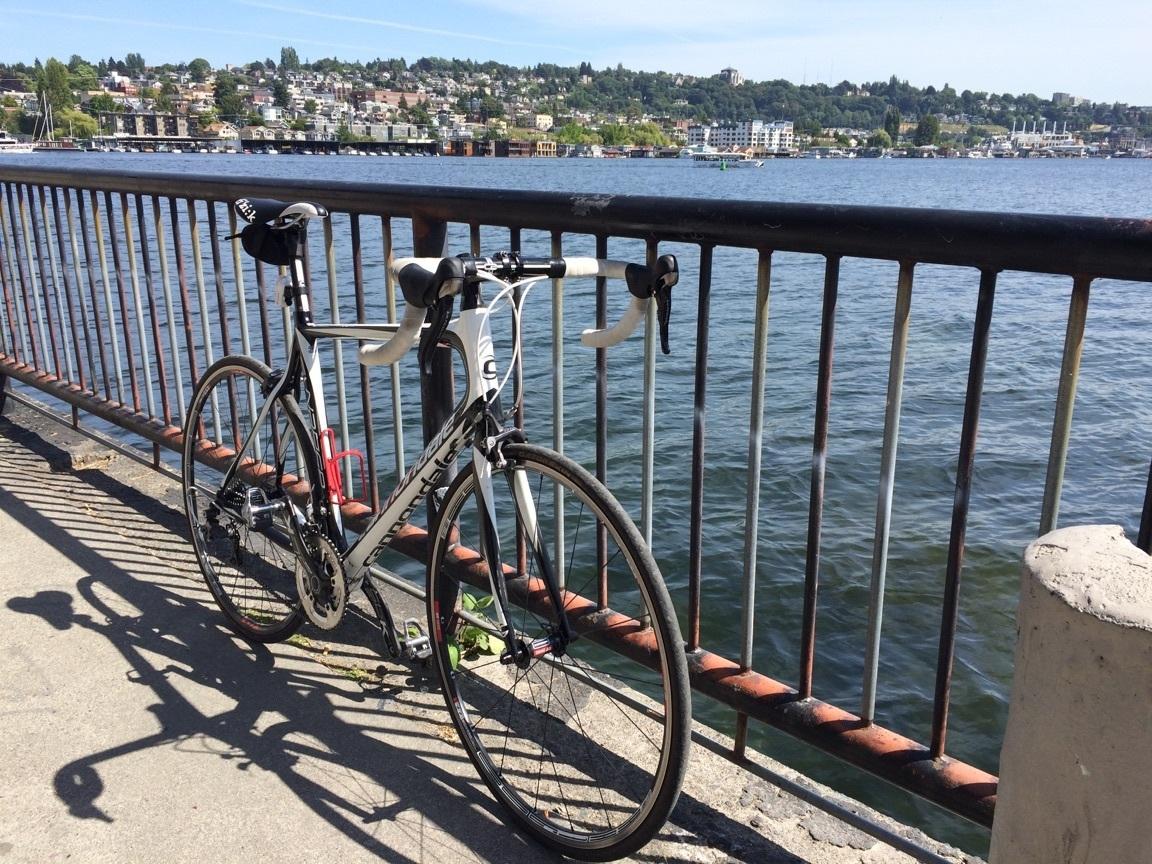 2011 Cannondale Synapse White and Black