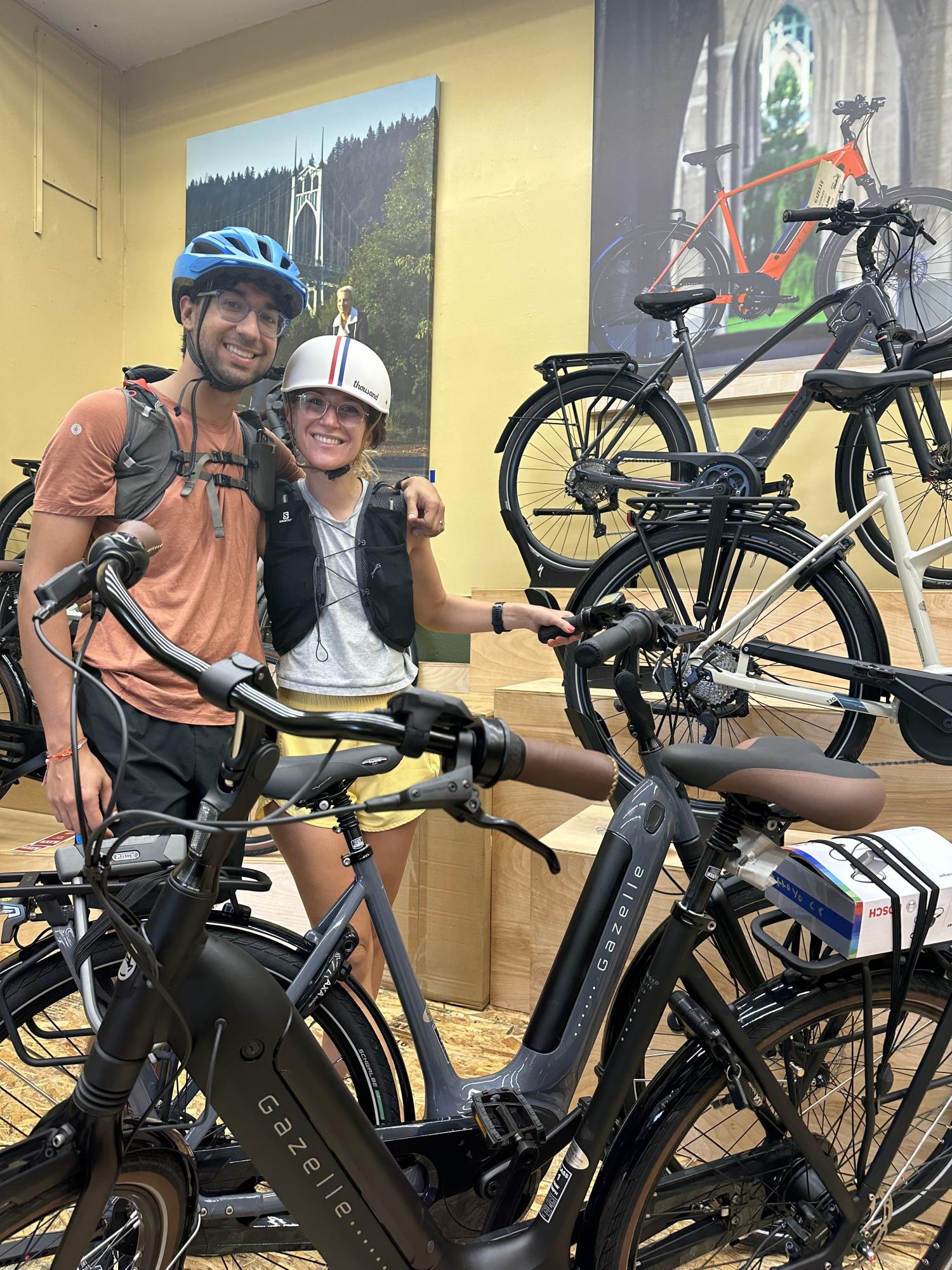 2022 Gazelle Arroyo C8 Silver, gray or bare metal