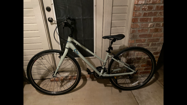 2021 Liv Alight 3 Comfort Green