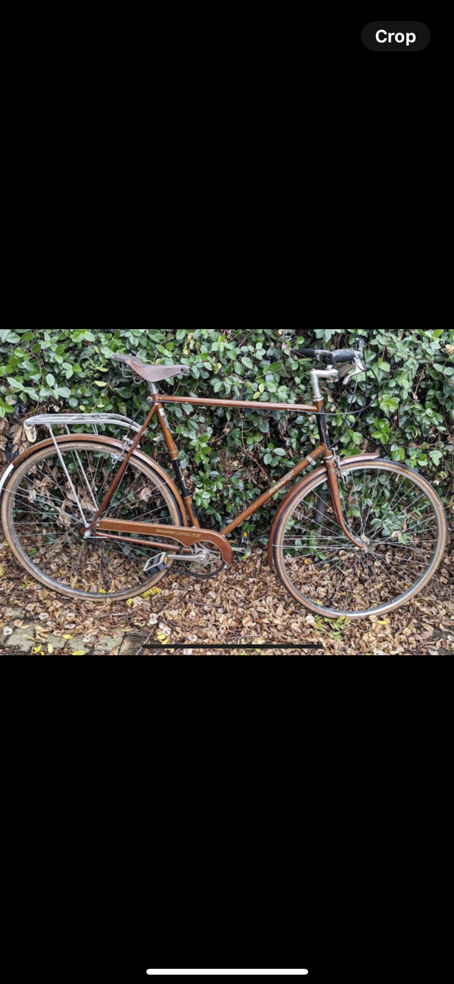 Raleigh Unknown Brown