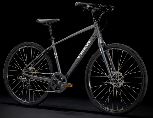 2022 Trek Verve 2 Disc Silver, gray or bare metal