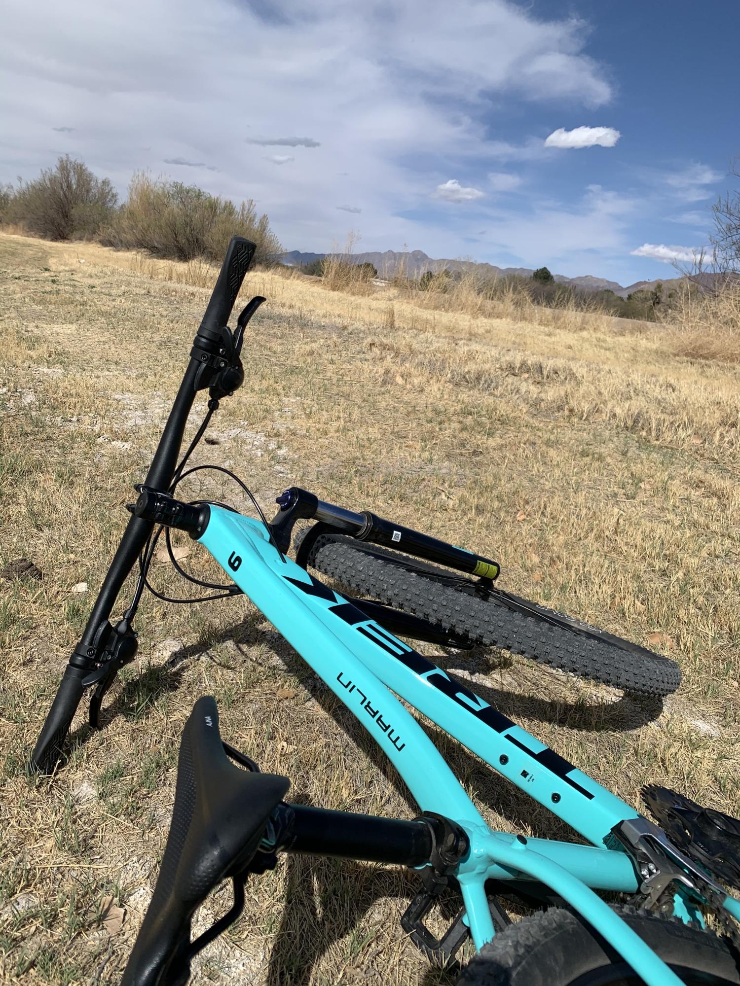 2020 Trek Teal