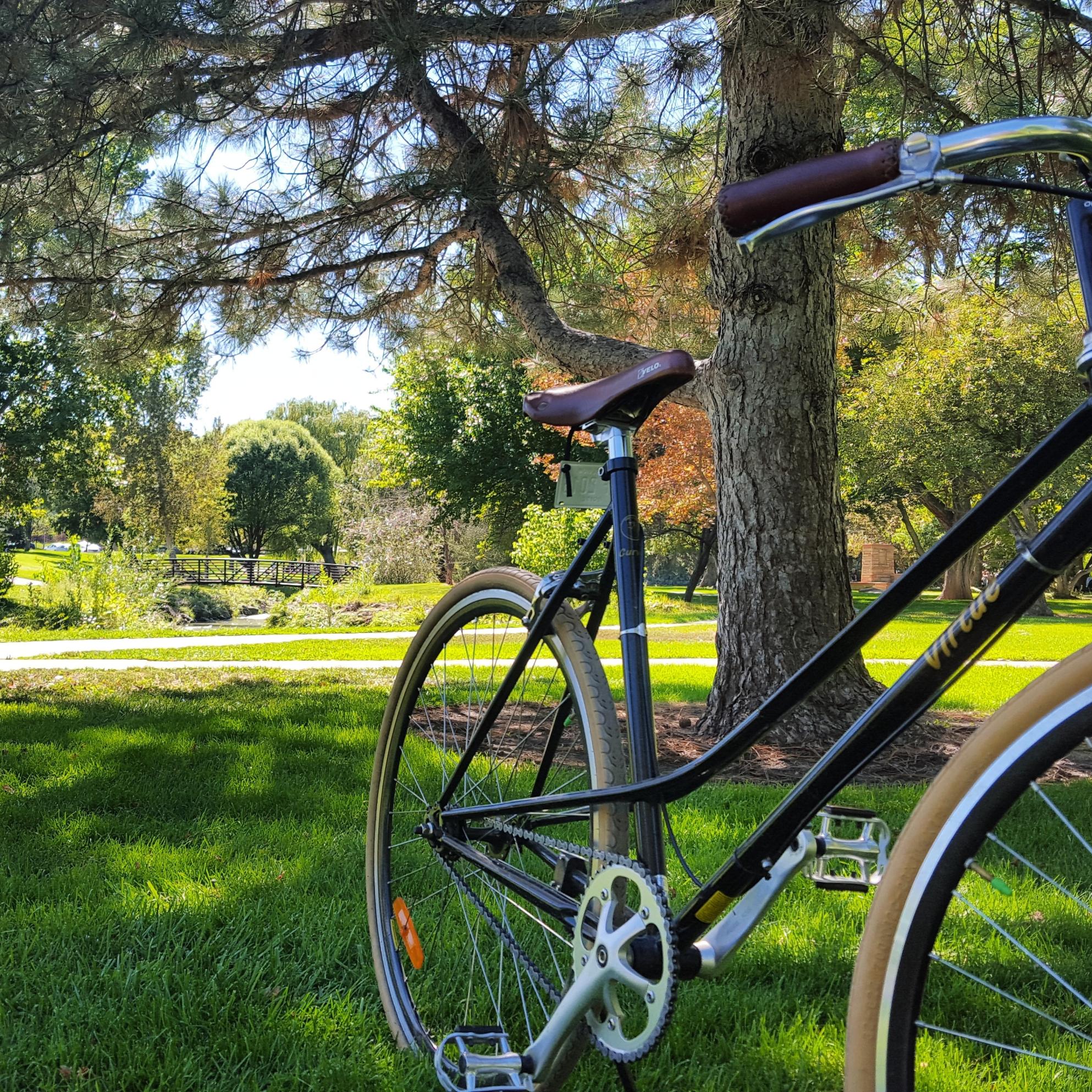 2013 Virtue Curve 1 Black