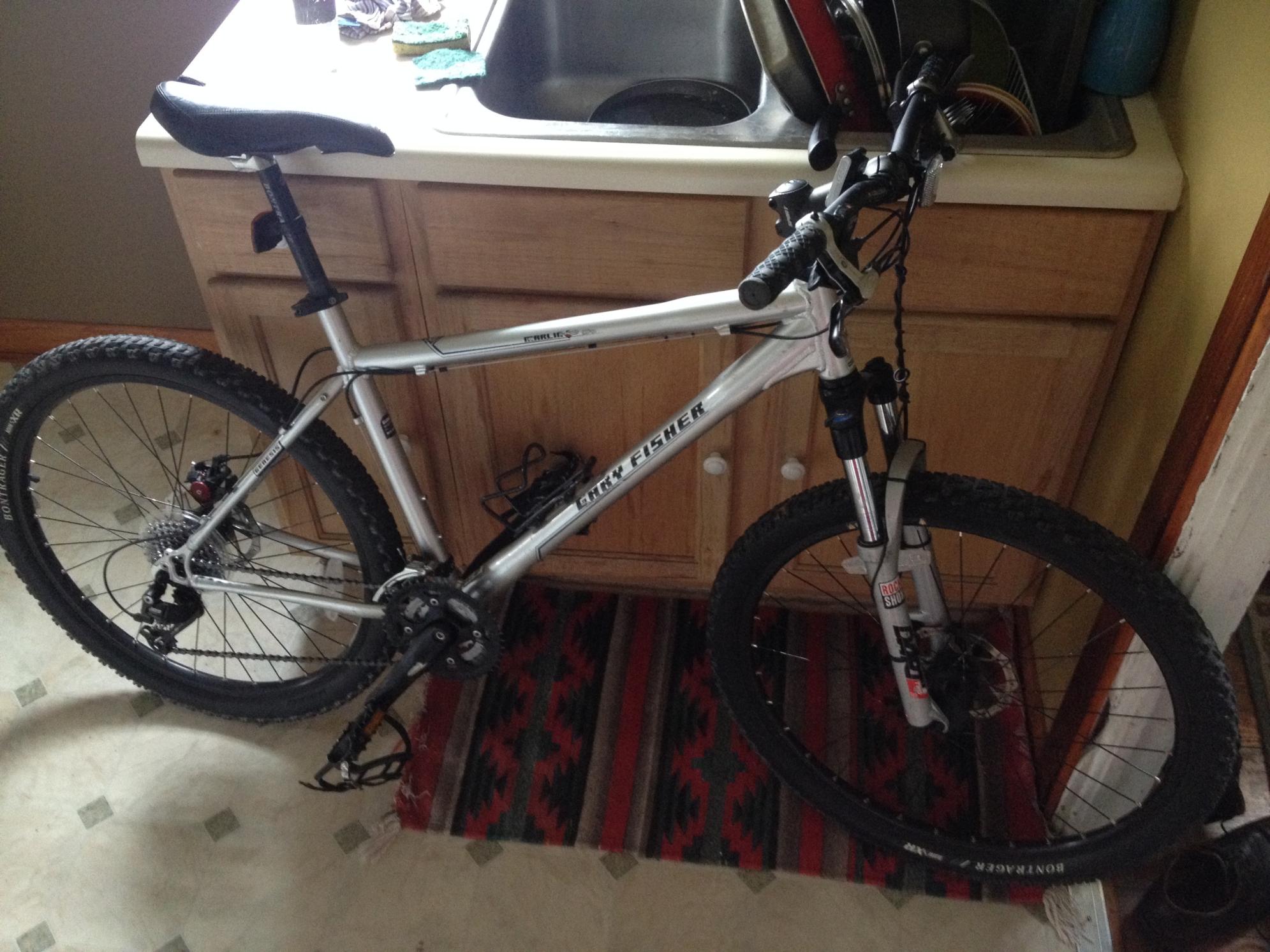 2007 Gary Fisher Silver or Gray