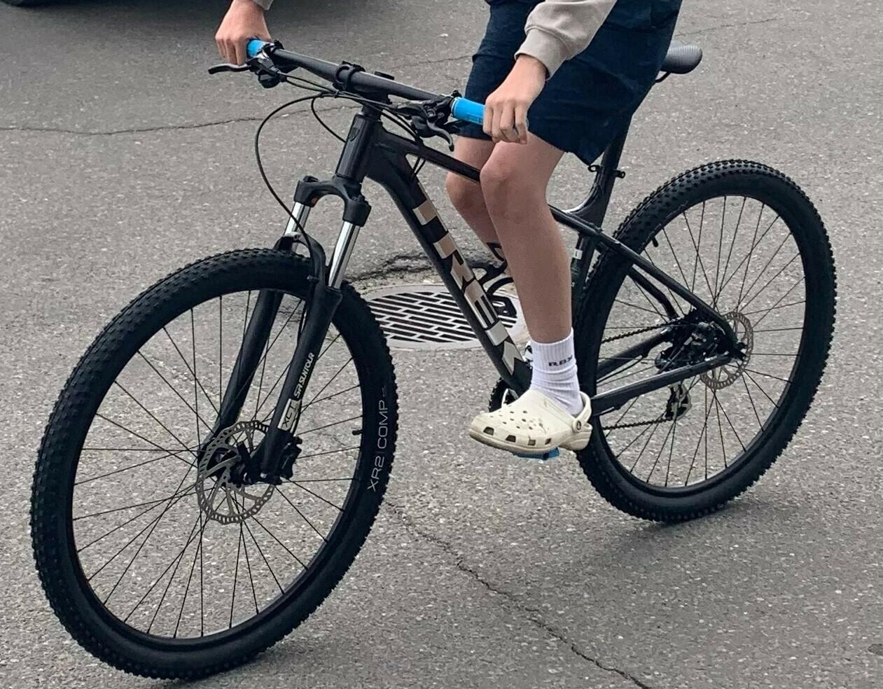 2022 Trek Male large frame Silver, gray or bare metal