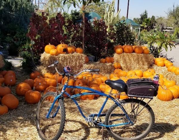 1972 Schwinn beach cruiser 5 speed Blue