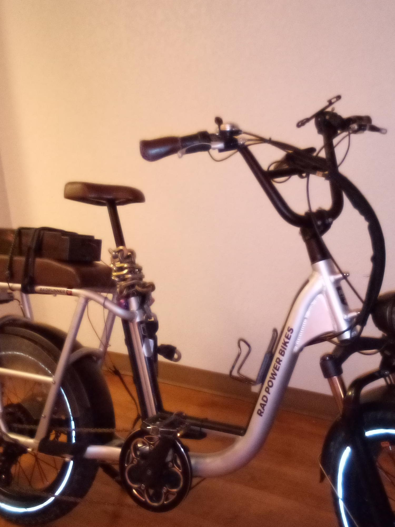 2021 Rad Power Bikes RadRunner Plus Silver, gray or bare metal