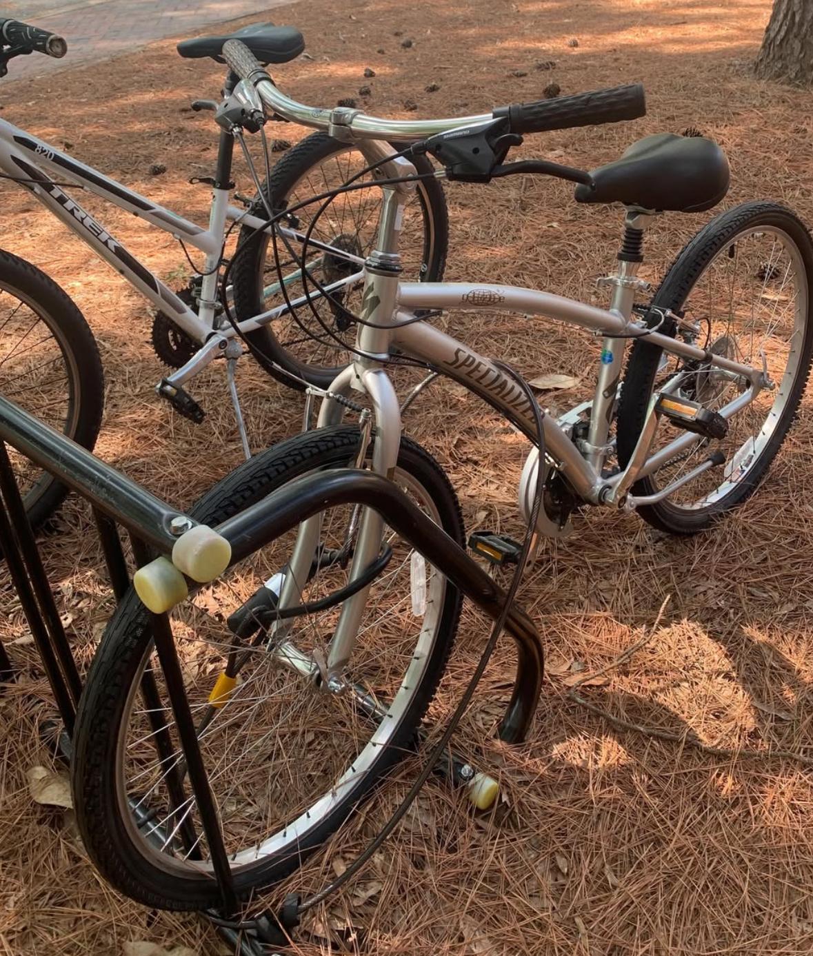Specialized Globe Silver, gray or bare metal