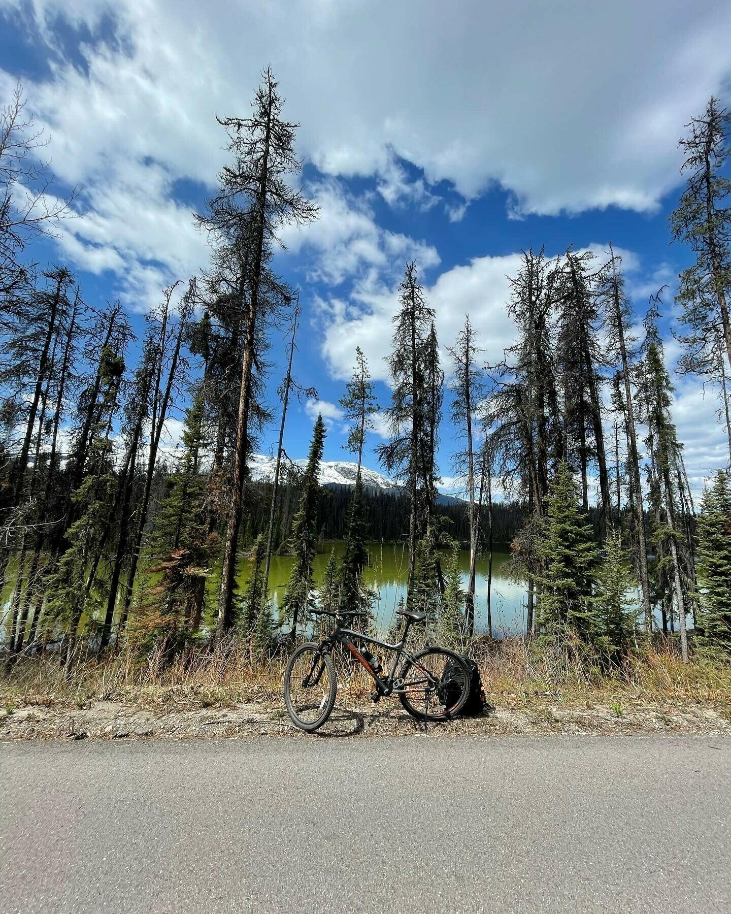 2021 Diamondback Silver, gray or bare metal and Orange