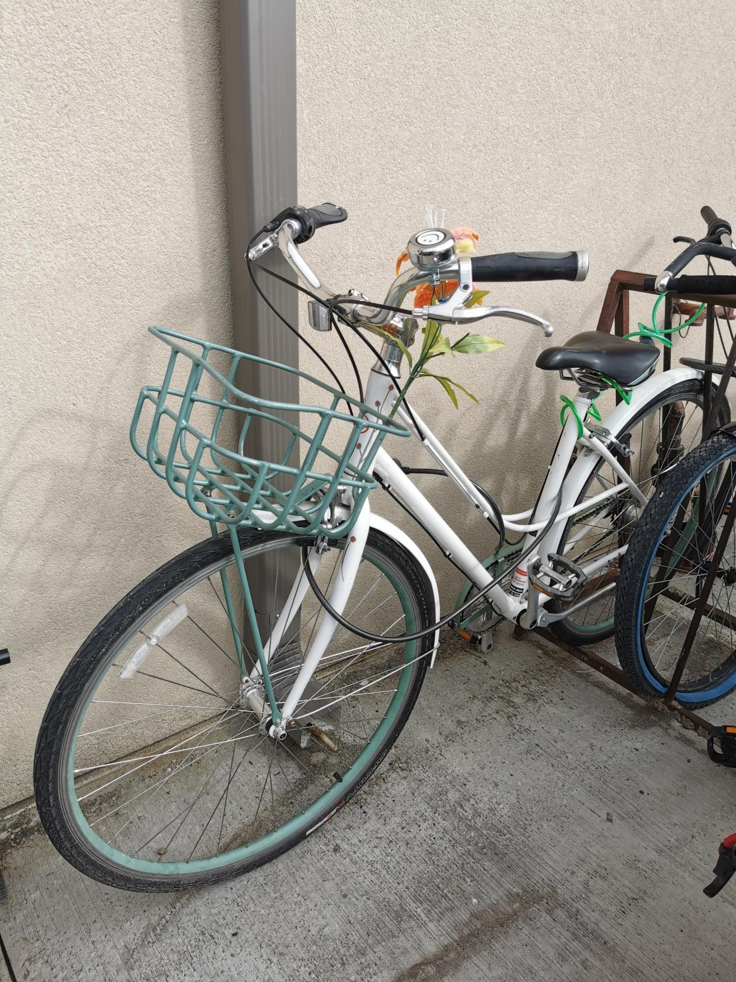 2011 Giant Via 1 W White