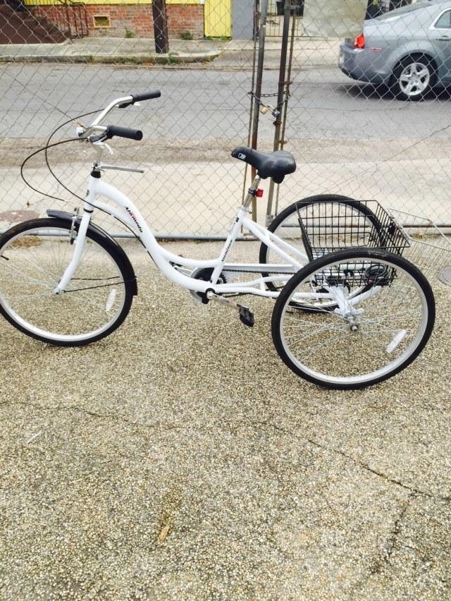 2015 Kent Alameda White