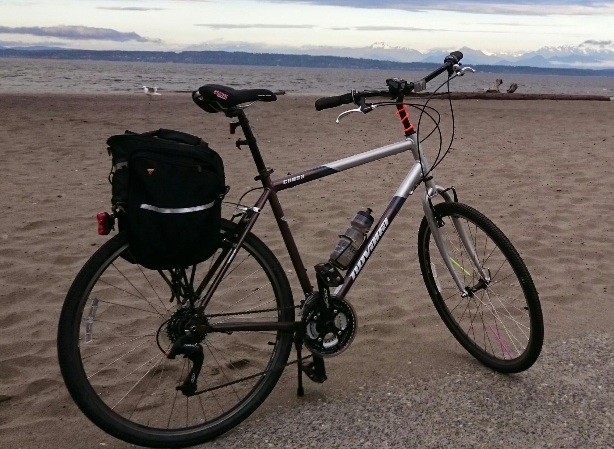 2015 Novara Corsa Brown and Silver or Gray