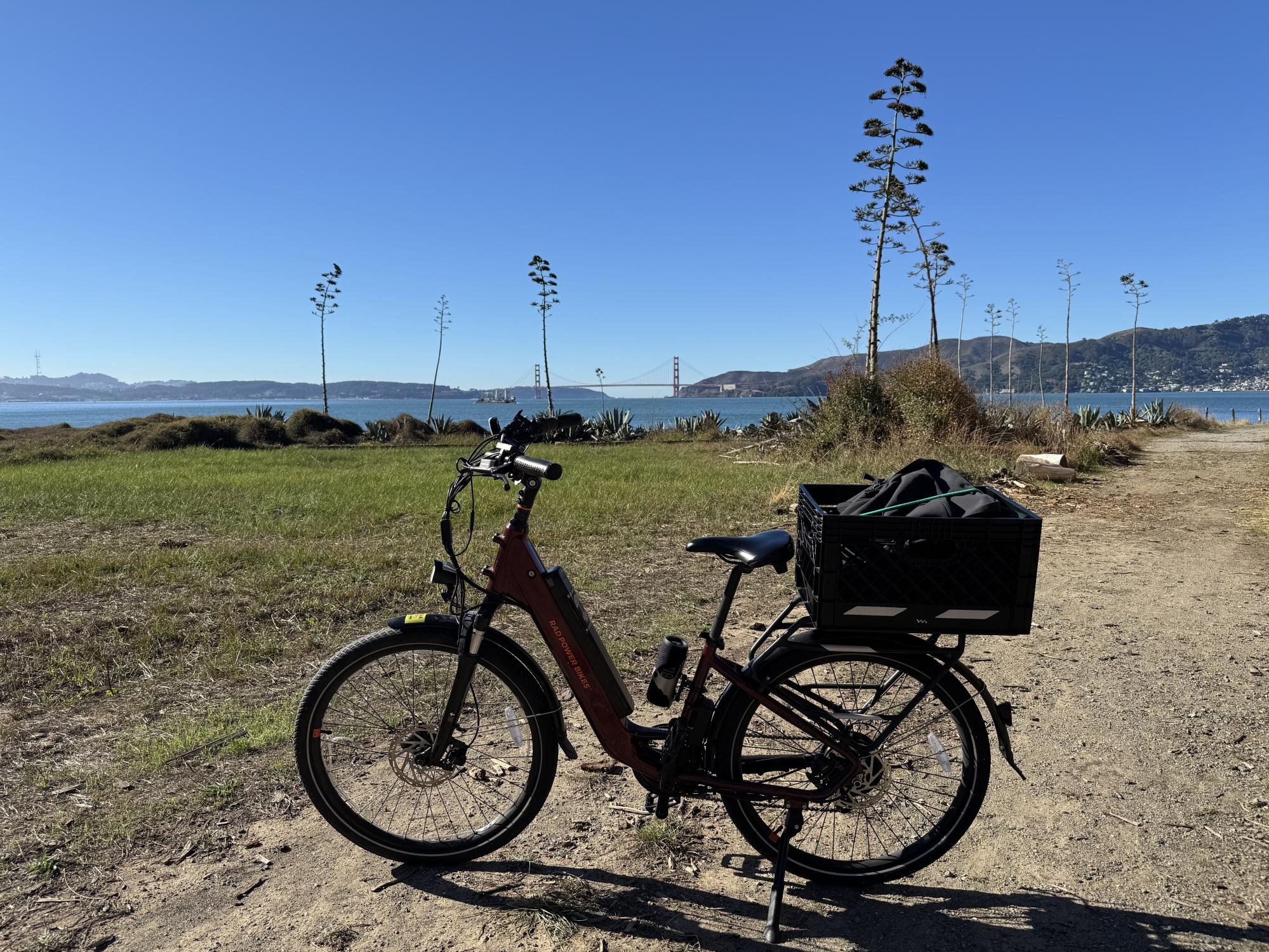 Rad Power Bikes RadCity 5 Red