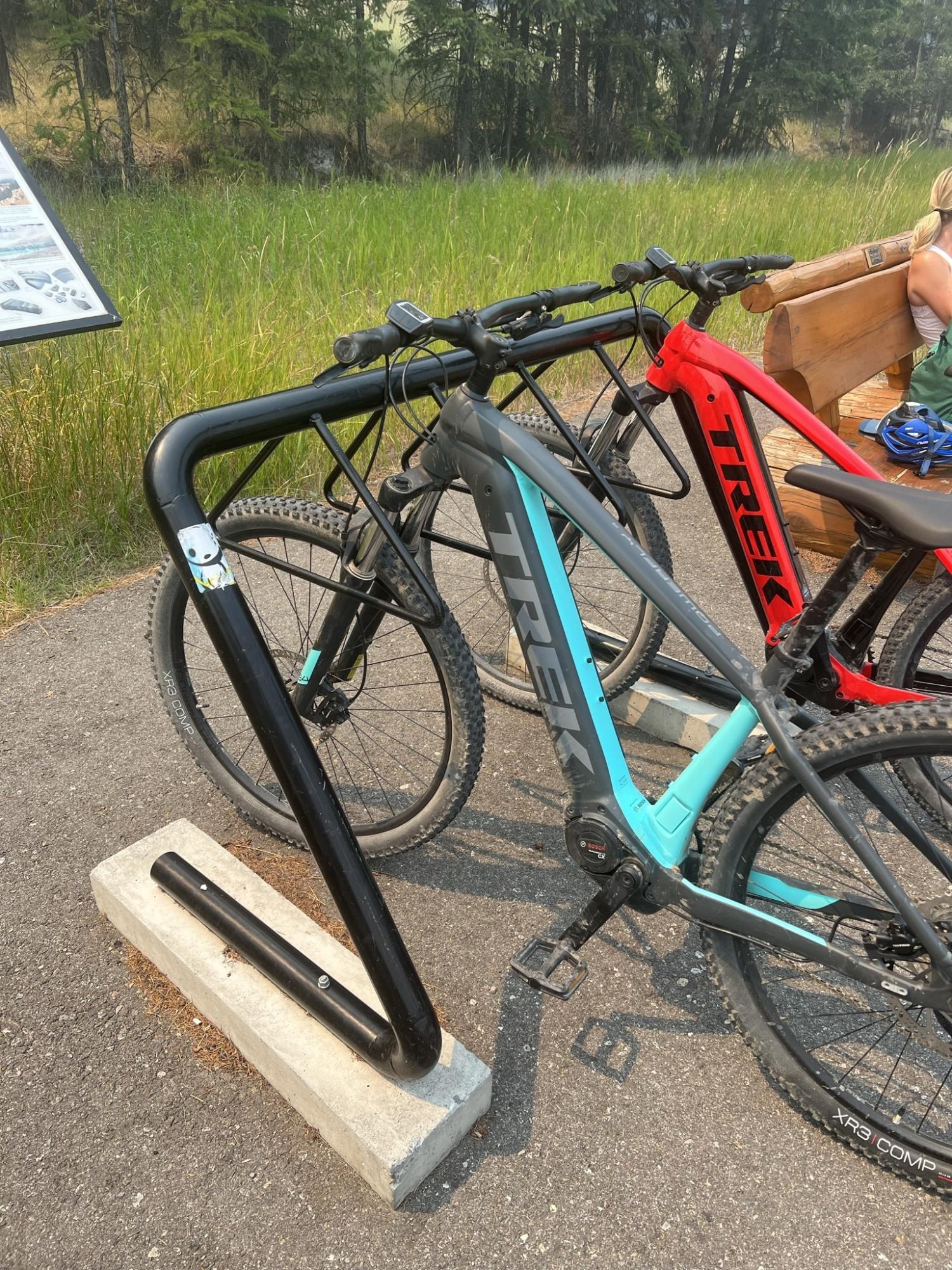 2021 Trek Teal and Silver, gray or bare metal