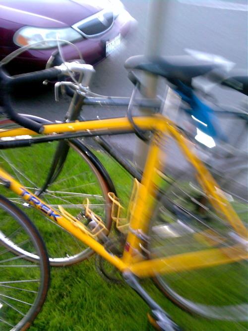 Trek  Black